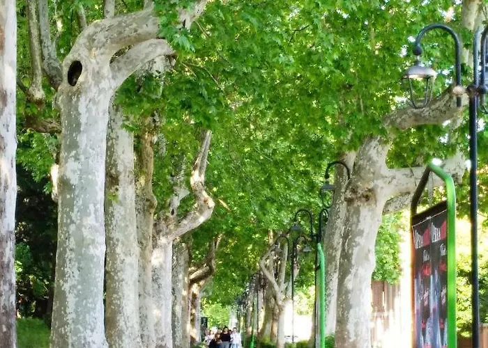 Antiche Terme - Zero Barriere Apartman *